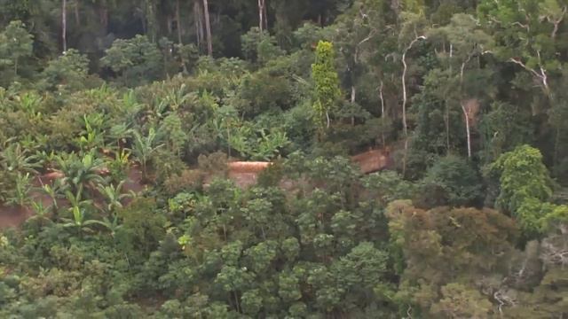 Uncontacted Amazon Tribe First ever aerial footage смотреть онлайн