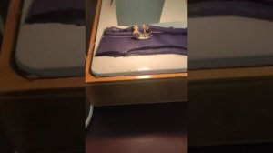 Чайка 134 идеально делает строчку по трикотажу даже крупной иглой и большим зигзагом.