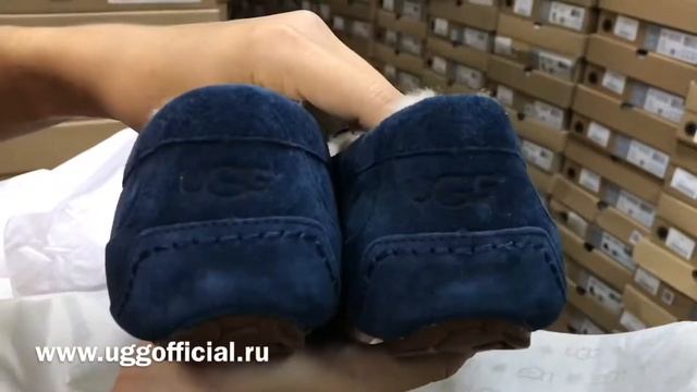 Обзор распаковка мужских мокасин UGG Men Ascot Navy смотреть онлайн