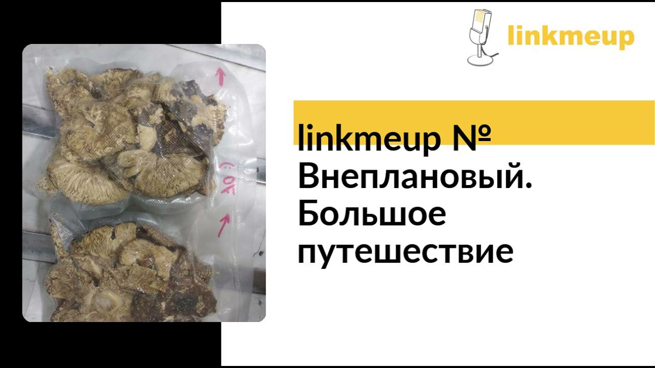 linkmeup № Внеплановый. Большое путешествие смотреть онлайн