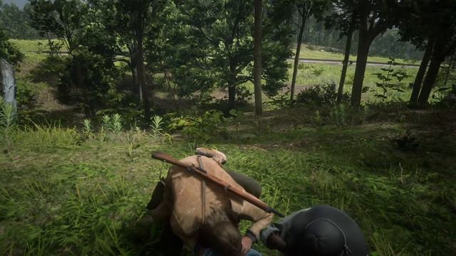 The Technical Testing Mad Man Red Dead Redemption 2