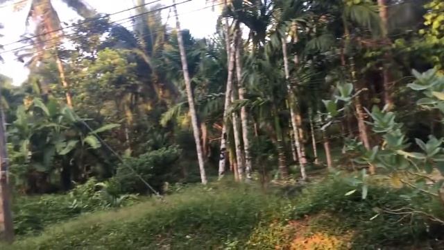 Дорога у Парама, тайская музыка смотреть онлайн