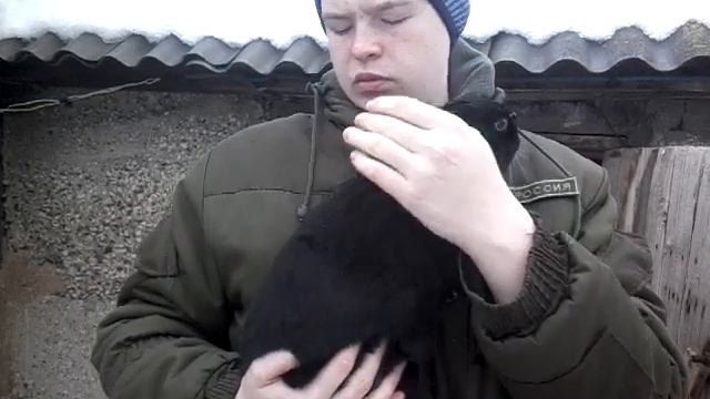 С чего начать разведение кроликов!?//?Как начинал я? смотреть онлайн