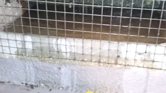 2014.11.19 Hydroizolacja