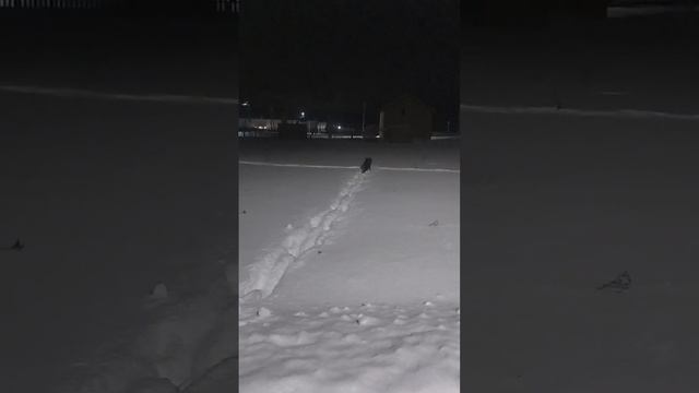 КЕРИ# 4 МЕСЯЦА. смотреть онлайн