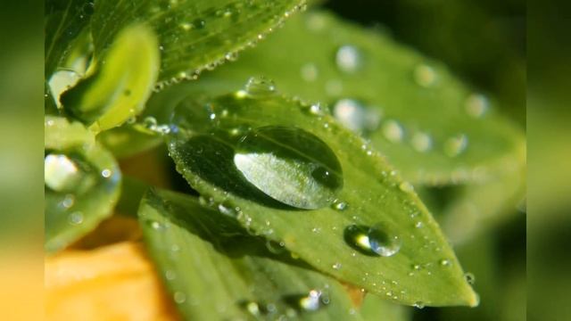 Кто Такой Бог? Потоковые стихи. Людмила Долгая смотреть онлайн