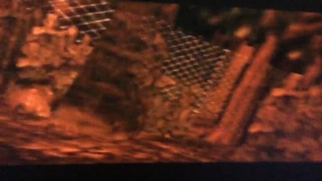 Stuffed Game Night Choose your own Nightmare Night of the Werewolf Part 3 смотреть онлайн