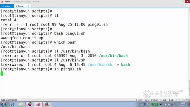 千锋Linux教程：3 C Java Python Shell 执行方式对比（上） смотреть онлайн