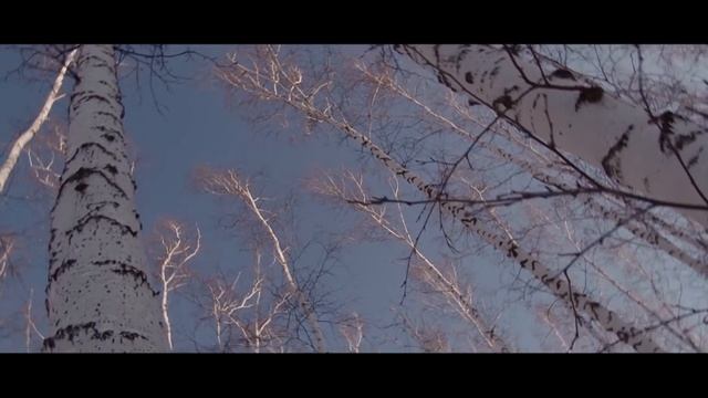 Свадьба Михаила и Ксении смотреть онлайн