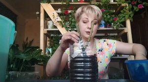 Сажаем розу из интернет-магазина.Как сохранить до посадки на дачном участке.