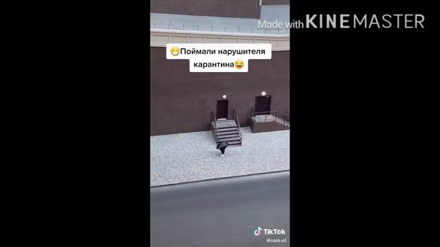 УКЛОНЕНИЕ ОТ КАРАНТИНА. 😂😂😂😂 смотреть онлайн