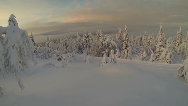 Skiing with friends at soft snow at Iso-Syöte Finland смотреть онлайн
