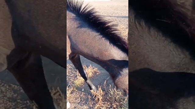♥︎♡Влог с тренировки♡♥︎ смотреть онлайн