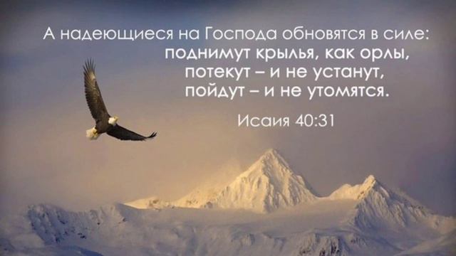 На кого мы надеемся? - 14 день смотреть онлайн