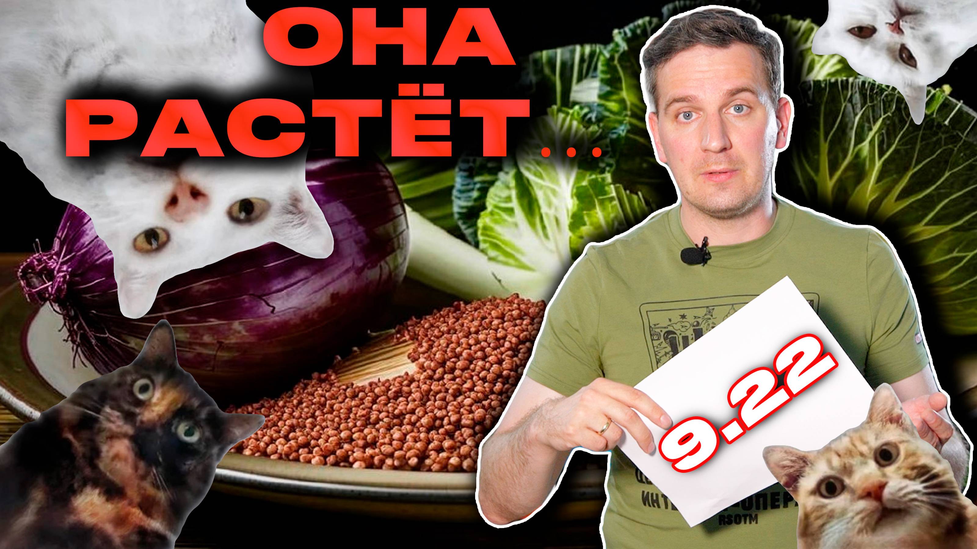 Страна доходов, инфляции и перегретой экономики | Деньги 24