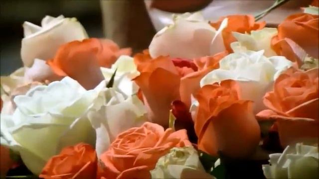 RAINHA SANTA ISABEL / The Queen Saint - COIMBRA 2014 - J.S.BACH смотреть онлайн