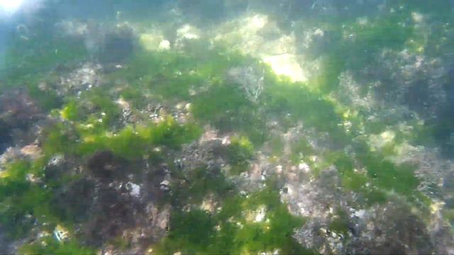 Памятник, набережная... смотреть онлайн