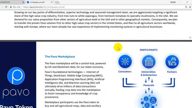 Whitepaper PAVO ICO смотреть онлайн