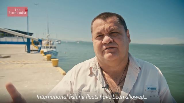 What sharks reveal about the state of the ocean смотреть онлайн