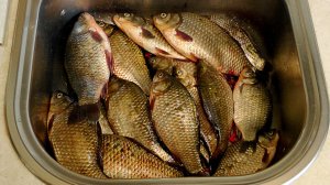 Как сделать супер уловистое геркулесовое тесто для рыбалки.