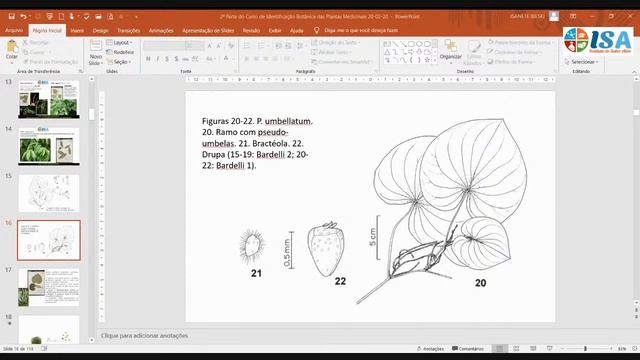 2ª MÓDULO DO CURSO GRATUITO DE IDENTIFICAÇÃO BOTÂNICA смотреть онлайн
