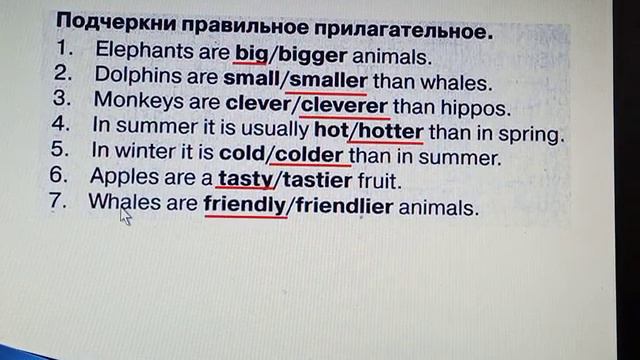 Дикие животные, сравнение, 4 класс смотреть онлайн