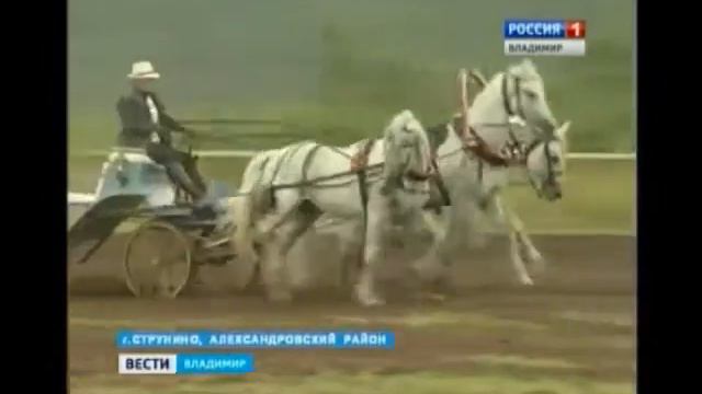 Праздник тройки в Струнине смотреть онлайн