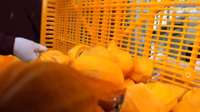 독특하고 생소한 음식공장 대량생산 몰아보기 / Unique Food Factory! Mass Production