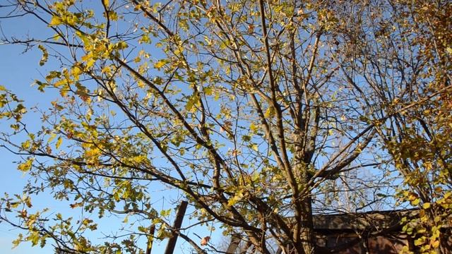 Малая Родина смотреть онлайн