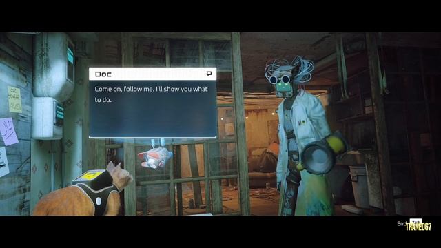 Stray: Dead End Walkthrough смотреть онлайн