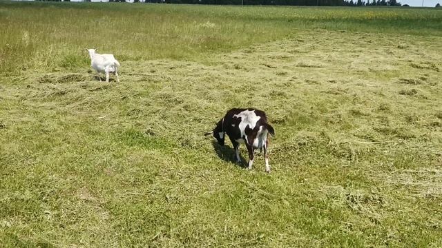 23 чэрвеня 2022 г. смотреть онлайн