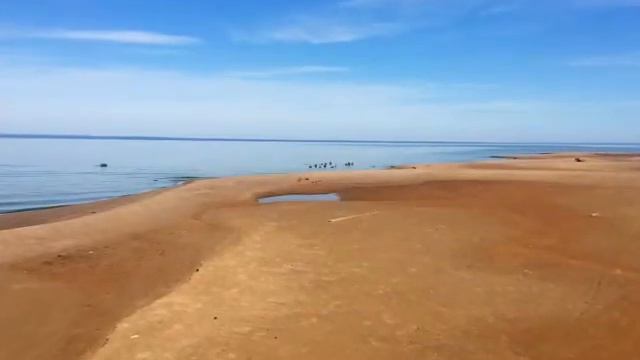 После сильного ветра на Каме зелень прибило к берегу / Добрянка Пермский край / Природа Урала смотреть онлайн