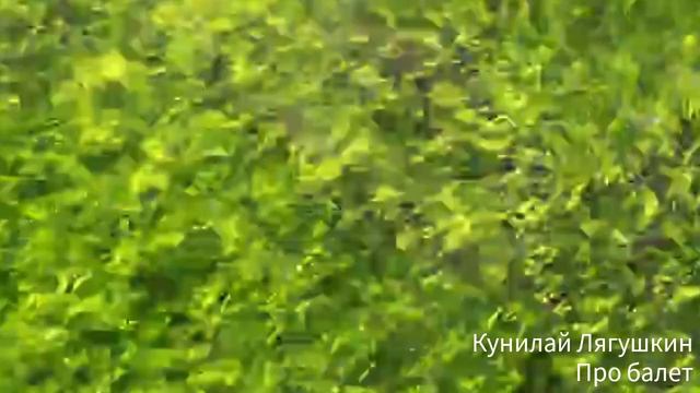 Кунилай Лягушкин - Про балет смотреть онлайн