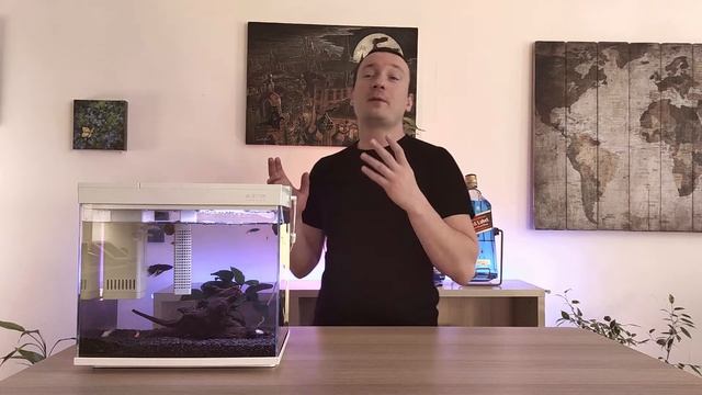 Умный Аквариум Xiaomi 30 Литров Часть 2 - ЗАПУСК  НАСТРОЙКА