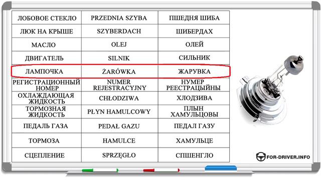 Польский для начинающих. Основы для водителя. часть 2 смотреть онлайн