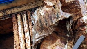 Помощь пчелам по чистке улья после зимовки!!!