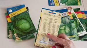 Раннеспелые сорта белокочанной капусты устойчивые к растрескиванию.14.03.2023