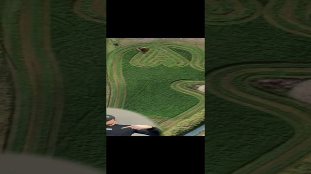 Электрическая газонокосилка - Бензиновый Газонокосильщик - Садовая техника смотреть онлайн