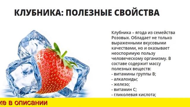 Клубника В Домашних Условиях Сказочный Сбор смотреть онлайн