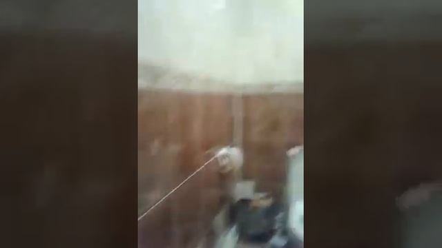 Обзор на меланин дом смотреть онлайн