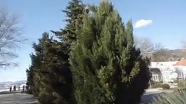 Благодарю всех ,за поздравления!Поздравляю Девчат с Праздником!! смотреть онлайн