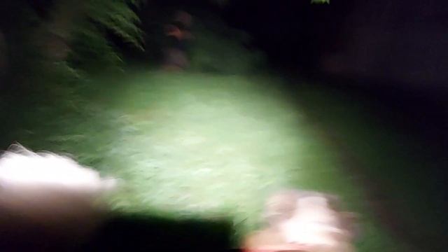 Издалека заметил силуэт в кустах. Человека, в темноте. Как не проверить? смотреть онлайн