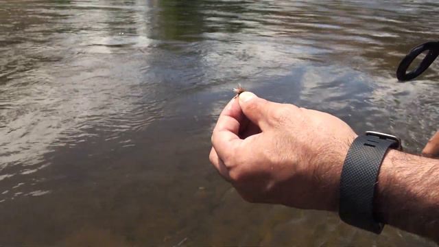 Dry Fly Fishing for Beginners смотреть онлайн