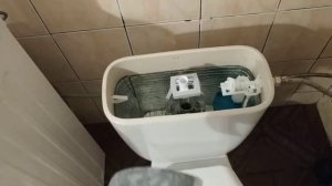 Конденсат на бачке унитаза.