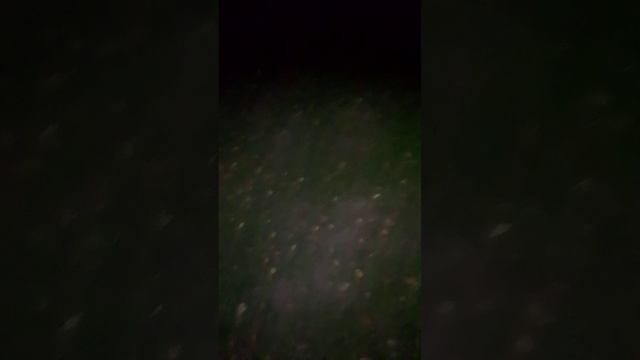 Аскеза и экстаз 5 итоги смотреть онлайн