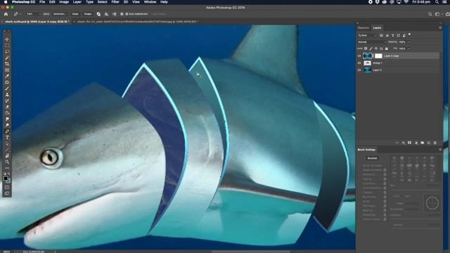 Shark sushi cut up in Photoshop Tutorial: #photoshop #photoshopfunn смотреть онлайн