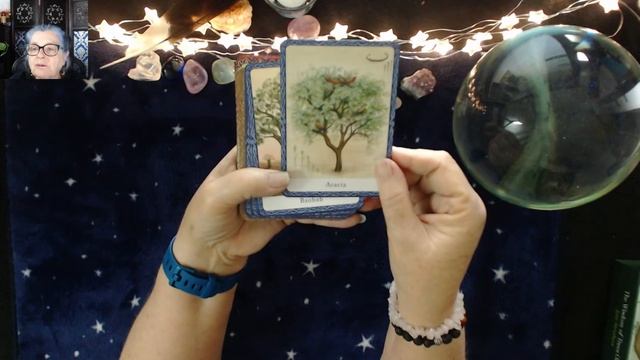 The Wisdom of Trees Oracle (Unboxing) смотреть онлайн