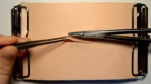 Видеоурок «Наложение хирургических швов»