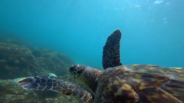 Мальдивы. Осознанное путешествие с Викторией Тодоровой смотреть онлайн