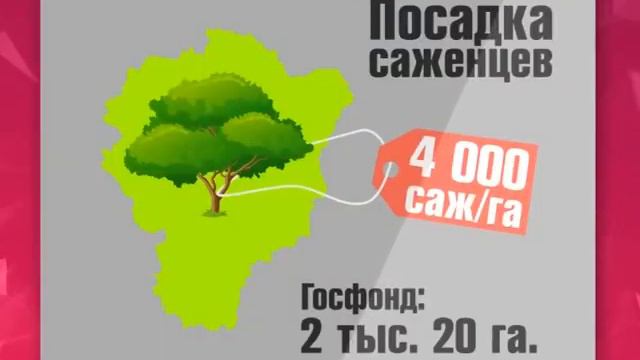 Всемирный День посадки деревьев смотреть онлайн